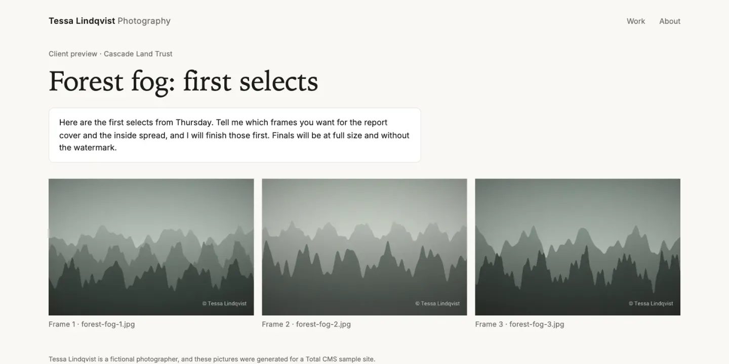 A client preview page titled Forest fog: first selects, with a note to the client and three watermarked frames of fog over forested ridges.